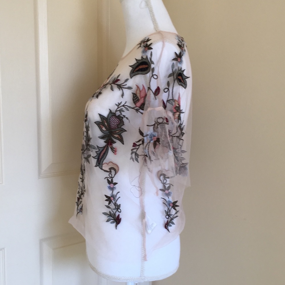 Mesh Light Pink Embroidered Top - Picture 4 of 8